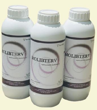 MOLIBTERV